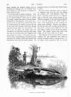 Thumbnail 0077 of St. Nicholas. November 1890