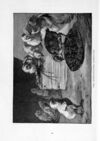 Thumbnail 0034 of St. Nicholas. March 1891