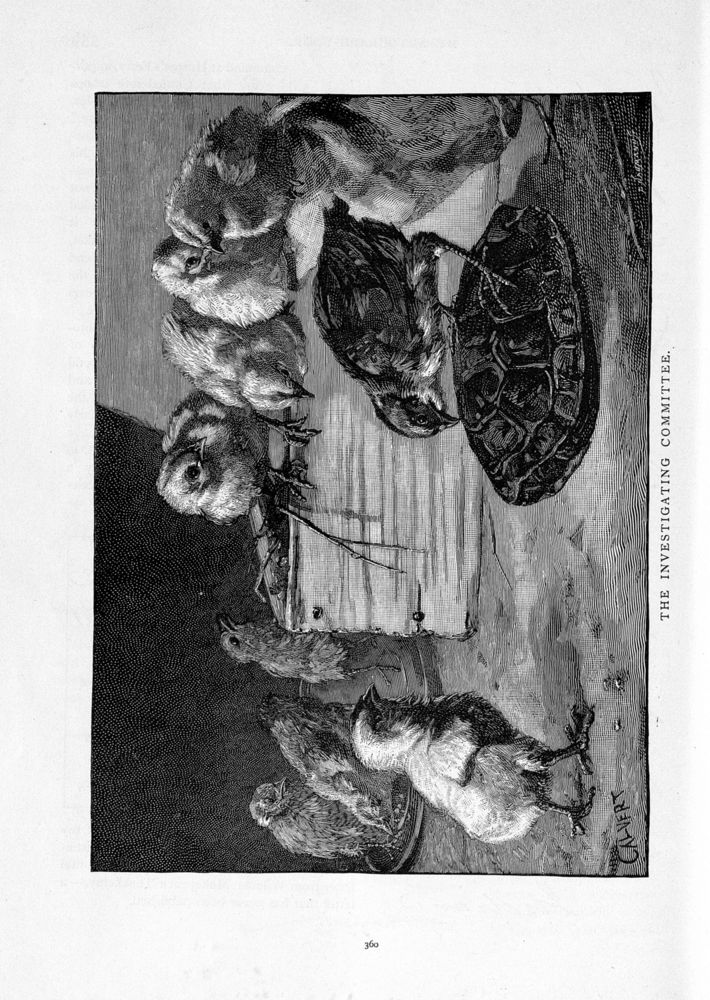 Scan 0034 of St. Nicholas. March 1891