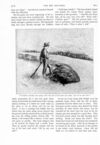 Thumbnail 0029 of St. Nicholas. May 1891