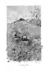 Thumbnail 0065 of St. Nicholas. July 1891