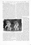 Thumbnail 0012 of St. Nicholas. October 1891