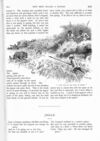 Thumbnail 0021 of St. Nicholas. May 1893