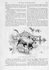 Thumbnail 0072 of St. Nicholas. May 1893