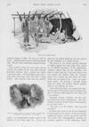 Thumbnail 0032 of St. Nicholas. March 1896