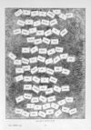 Thumbnail 0083 of St. Nicholas. March 1896