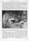 Thumbnail 0042 of St. Nicholas. September 1893