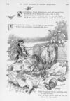 Thumbnail 0048 of St. Nicholas. December 1895