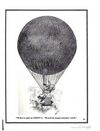 Thumbnail 0079 of The Roosevelt bears