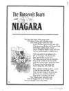 Thumbnail 0106 of The Roosevelt bears