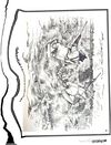 Thumbnail 0109 of The Roosevelt bears