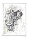 Thumbnail 0135 of The Roosevelt bears