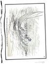 Thumbnail 0159 of The Roosevelt bears