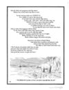 Thumbnail 0170 of The Roosevelt bears