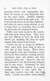 Thumbnail 0046 of Little Nellie