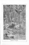 Thumbnail 0039 of Little Emmie, the mountain prisoner