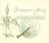 Thumbnail 0004 of Grandmother