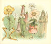 Thumbnail 0026 of Grandmother