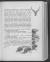 Thumbnail 0069 of Jock of the Bushveld