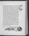 Thumbnail 0123 of Jock of the Bushveld