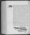 Thumbnail 0470 of Jock of the Bushveld