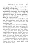 Thumbnail 0032 of The story of the gospel