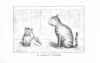 Thumbnail 0029 of Art in the nursery
