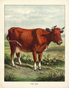 Thumbnail 0005 of Animal friends