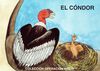 Thumbnail 0001 of El cóndor