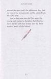 Thumbnail 0031 of Shaka Zulu