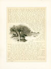 Thumbnail 0026 of Cape Town Dicky