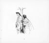 Thumbnail 0019 of An elegy on the glory of her sex, Mrs. Mary Blaize