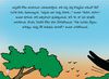 Thumbnail 0012 of The generous crow