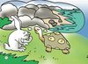 Thumbnail 0013 of The hare and the tortoise (again!)