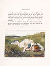 Thumbnail 0053 of Story-land