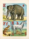 Thumbnail 0005 of The alphabet of animals