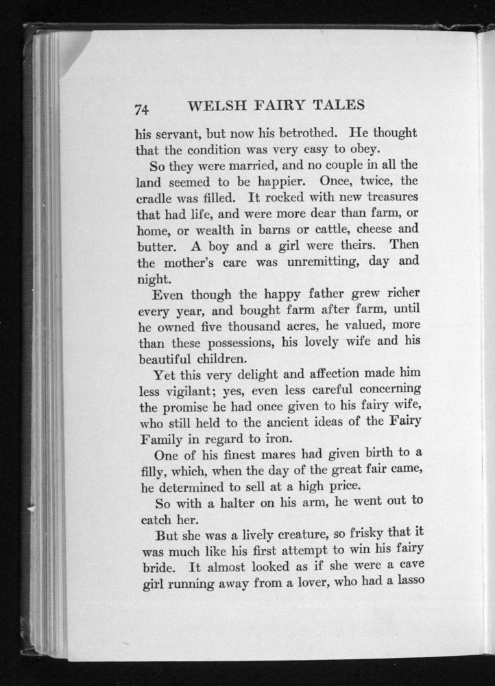 Scan 0090 of Welsh fairy tales