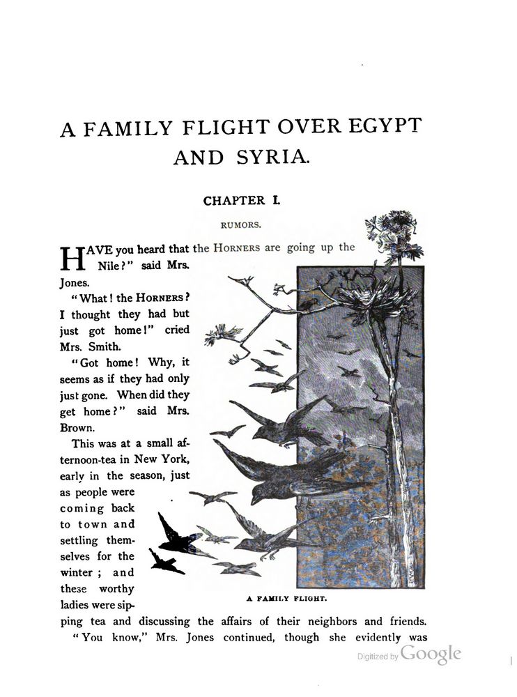 Scan 0017 of A family flight over Egypt and Syria