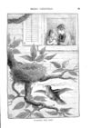 Thumbnail 0067 of Merry Christmas 1888-9