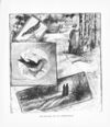 Thumbnail 0036 of How we went birds