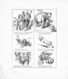 Thumbnail 0048 of The wonderful kittens