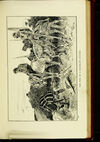 Thumbnail 0361 of St. George for England