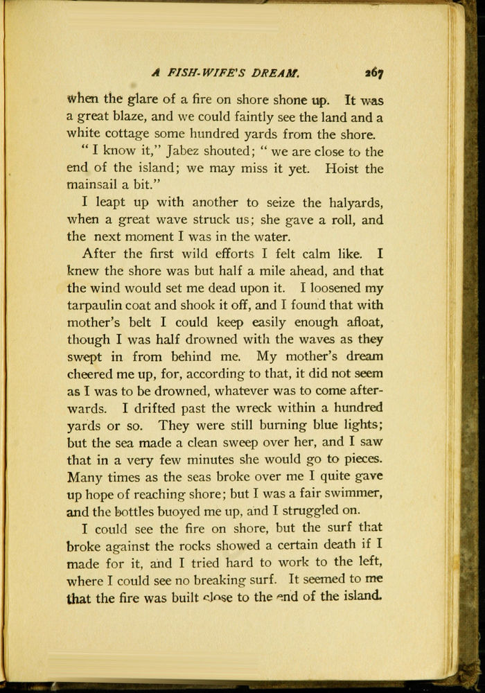 Scan 0279 of Sturdy and strong, or, How George Andrews made his way