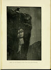 Thumbnail 0381 of The tiger of Mysore