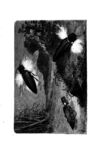Thumbnail 0016 of Stories for mamma to read