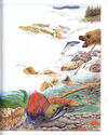 Thumbnail 0025 of People of salmon and cedar