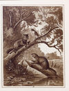 Thumbnail 0038 of Kaspar Kroak