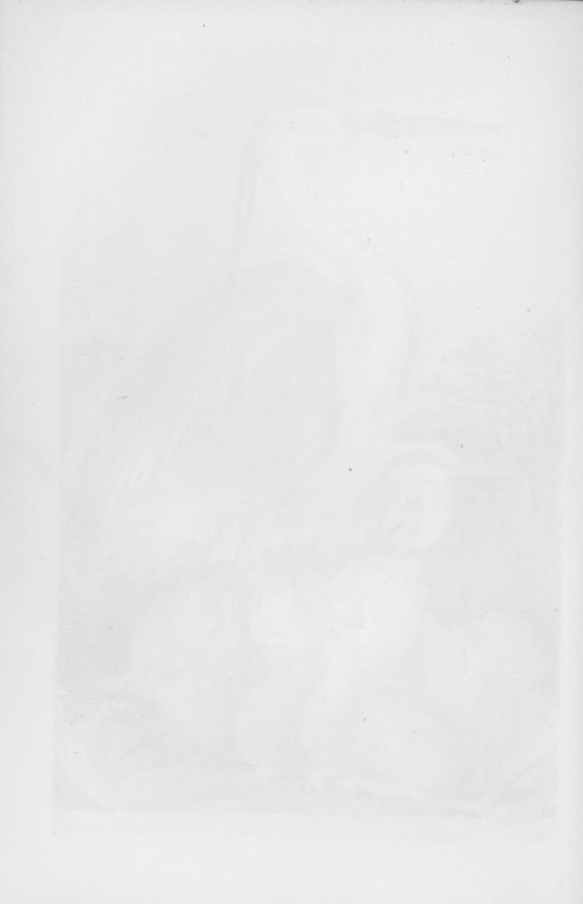 Scan 0026 of Country walks of a naturalist with his children
