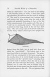 Thumbnail 0094 of Sea-side walks of a naturalist with his children