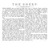 Thumbnail 0009 of Domestic animals